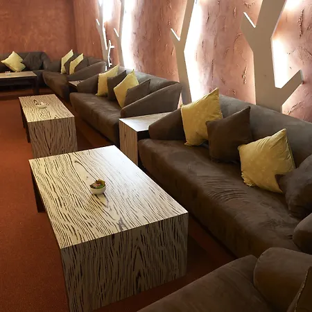 Lejlighed Festa Chamkoria Borovets